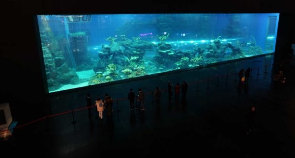 Cube Oceanrium Main Tank Open