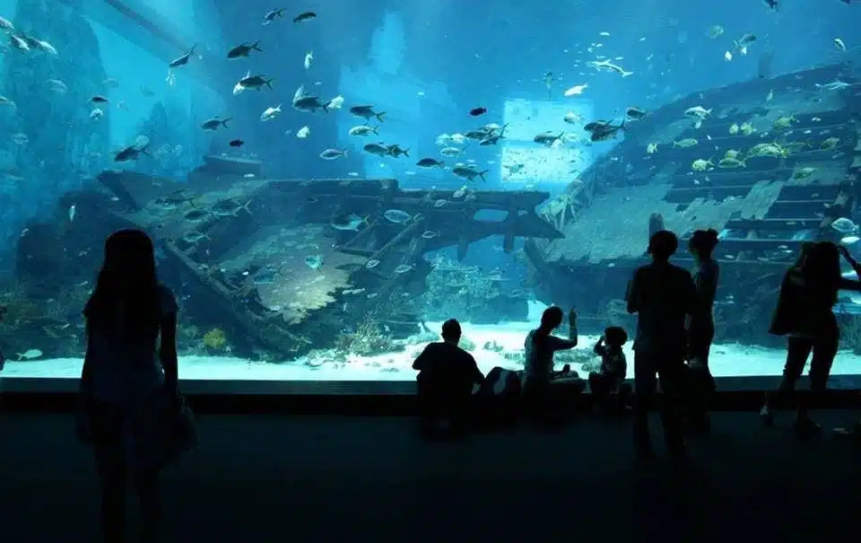 Aat Aquariums (3)