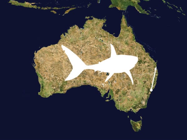 Australia Shark Map