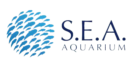 S.e.a. Aquarium Singapore