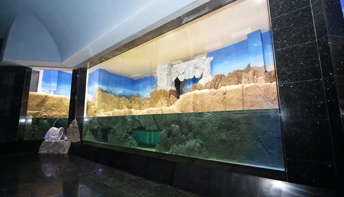 Cube Oceanarium Chengdu China09