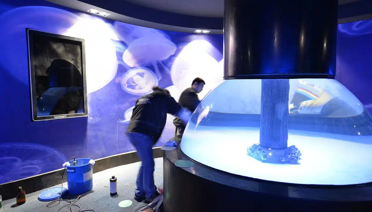 Cube Oceanarium Chengdu China21
