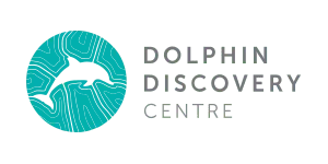 Dolphin Discovery Centre Logo