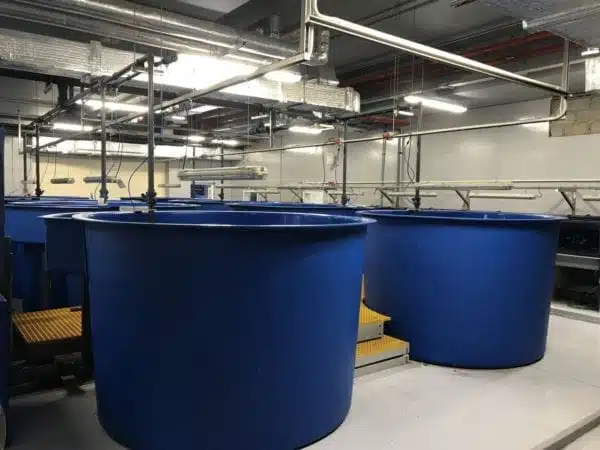 Prefabricated Frp Tanks16