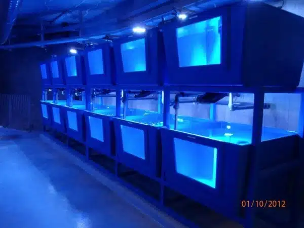 Prefabricated Frp Tanks17