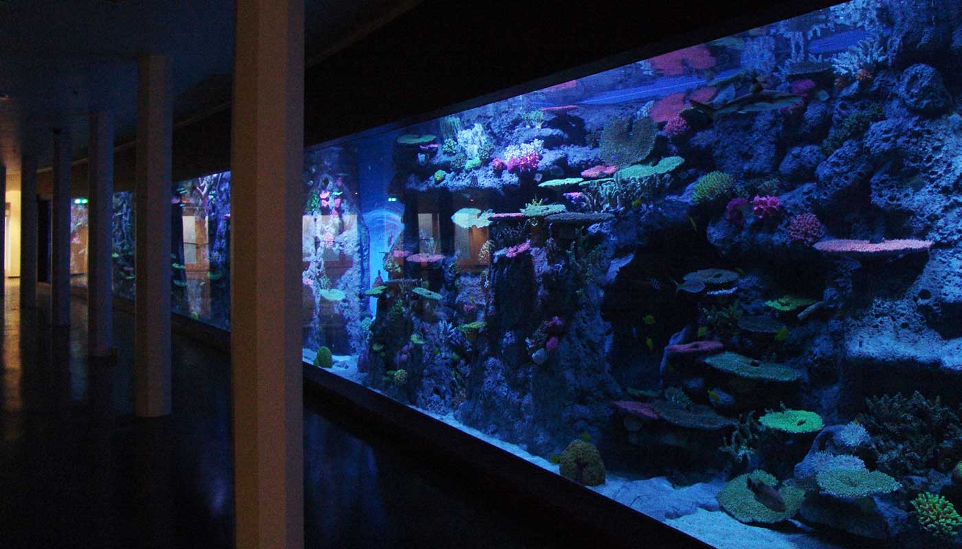 The Tivoli Aquarium Copenhagen Denmark05