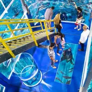 Dubai Mall Aquarium Viewing Platform Dubai Uae04