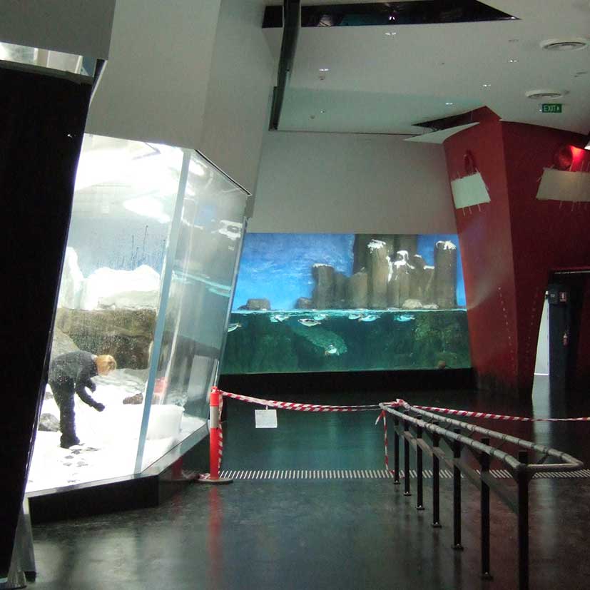 Melbourne Aquarium Melbourne Australia03
