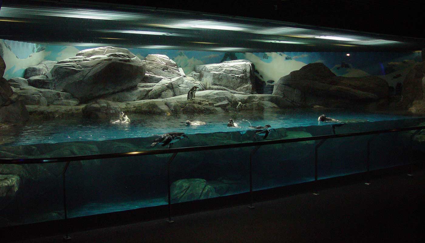 Shanghai Ocean Aquarium Shanghai China09