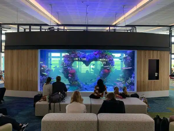 Whitsunday Airport Heart Reef Aquarium Proserpine Queensland01