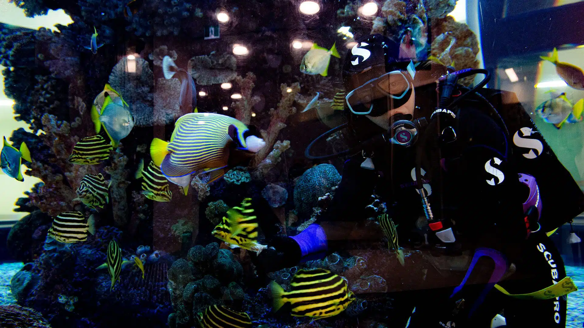 Advanced Aquarium Technologies Public Aquarium Products