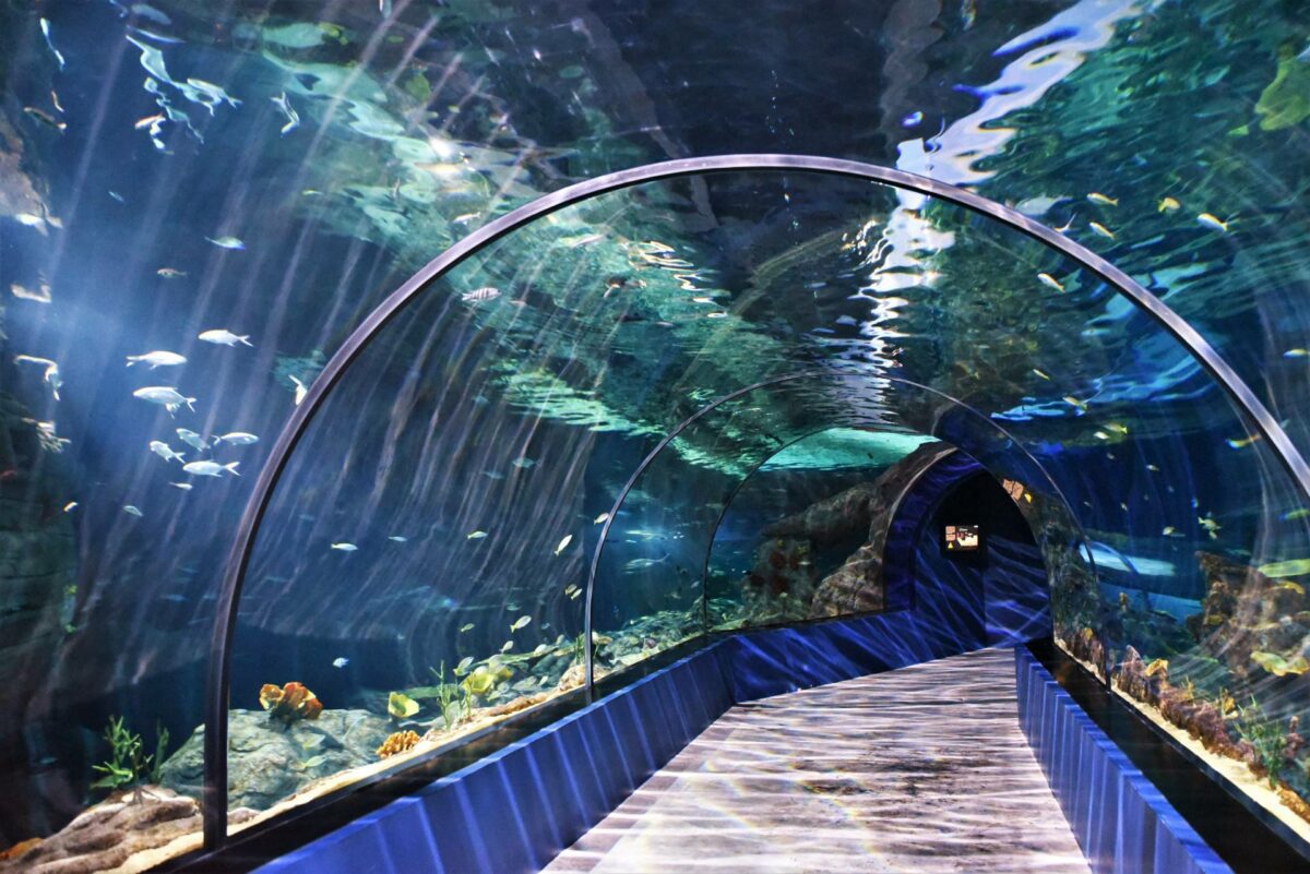 Odysseo Oceanarium Mauritius