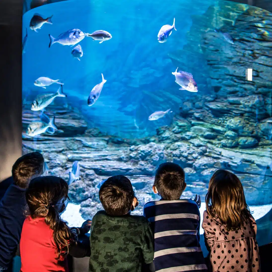 Children looking into an aquarium tank